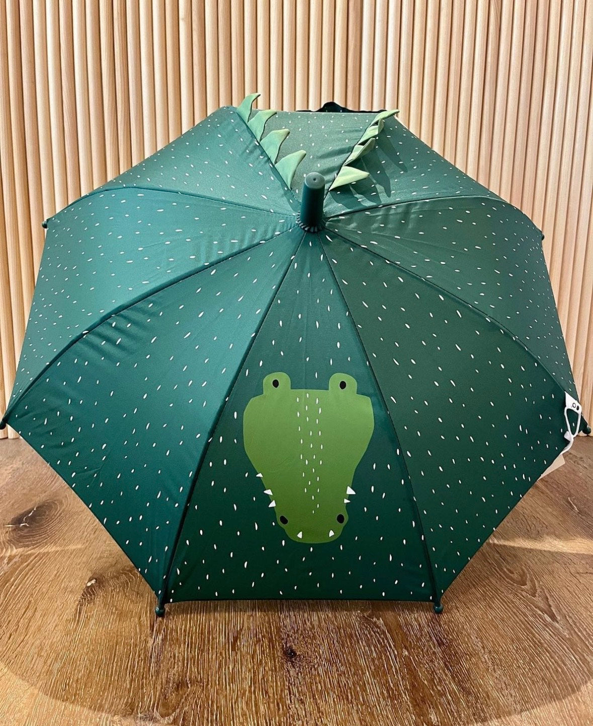 Umbrella - Mr. Crocodile